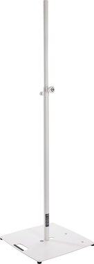 24654 white